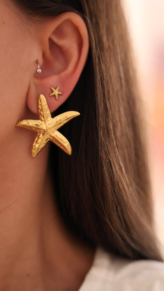 Brincos estrela do mar